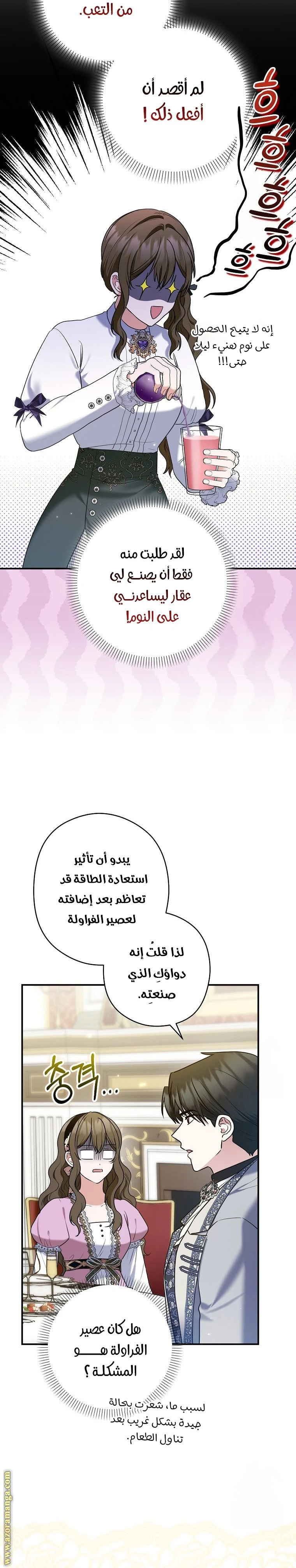 الصفحة 22