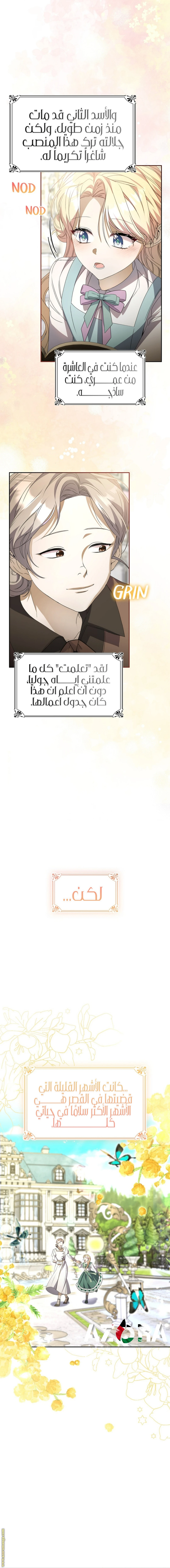 الصفحة 17