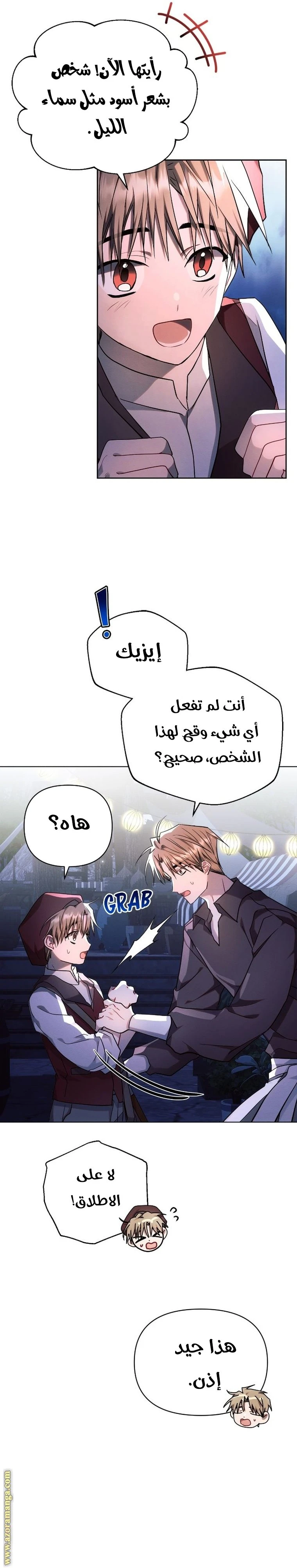 الصفحة 17