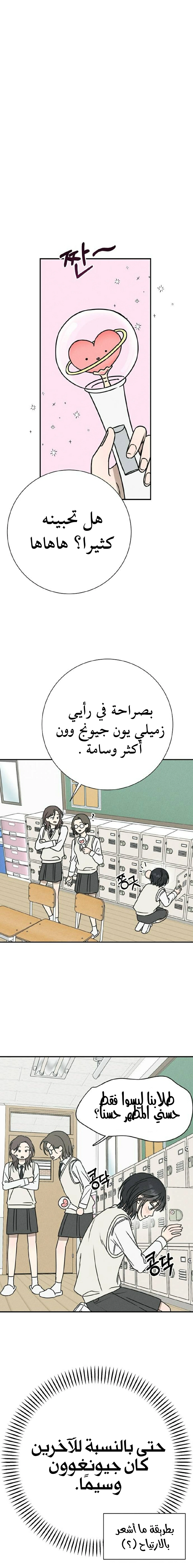 الصفحة 29