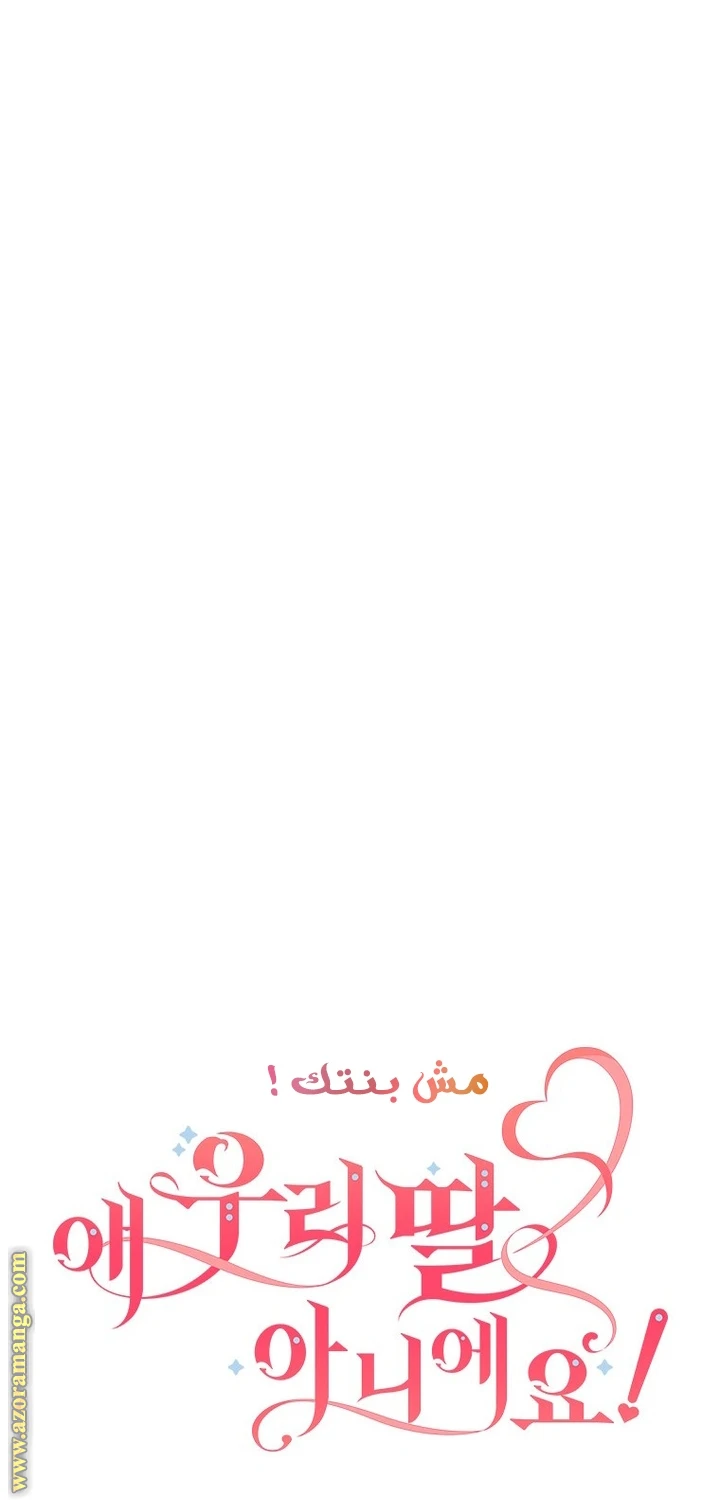 الصفحة 25