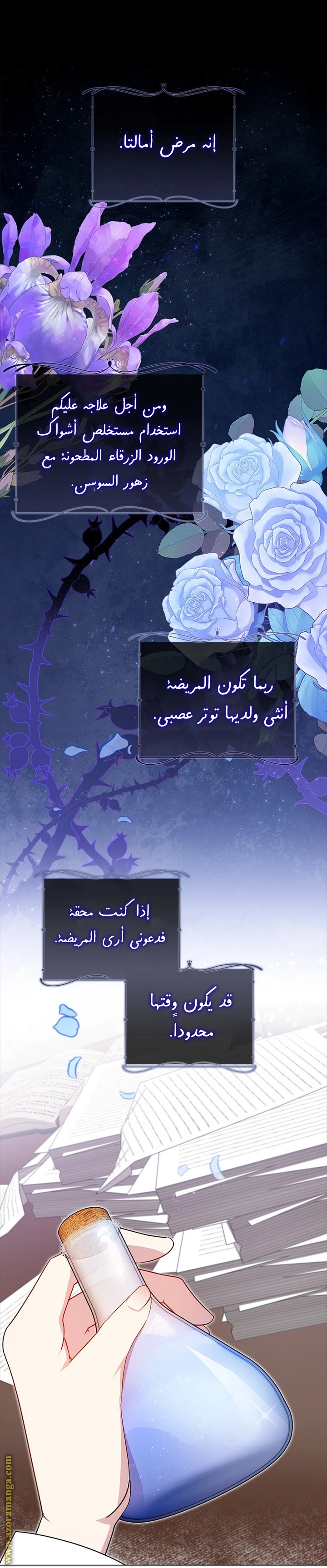 الصفحة 28