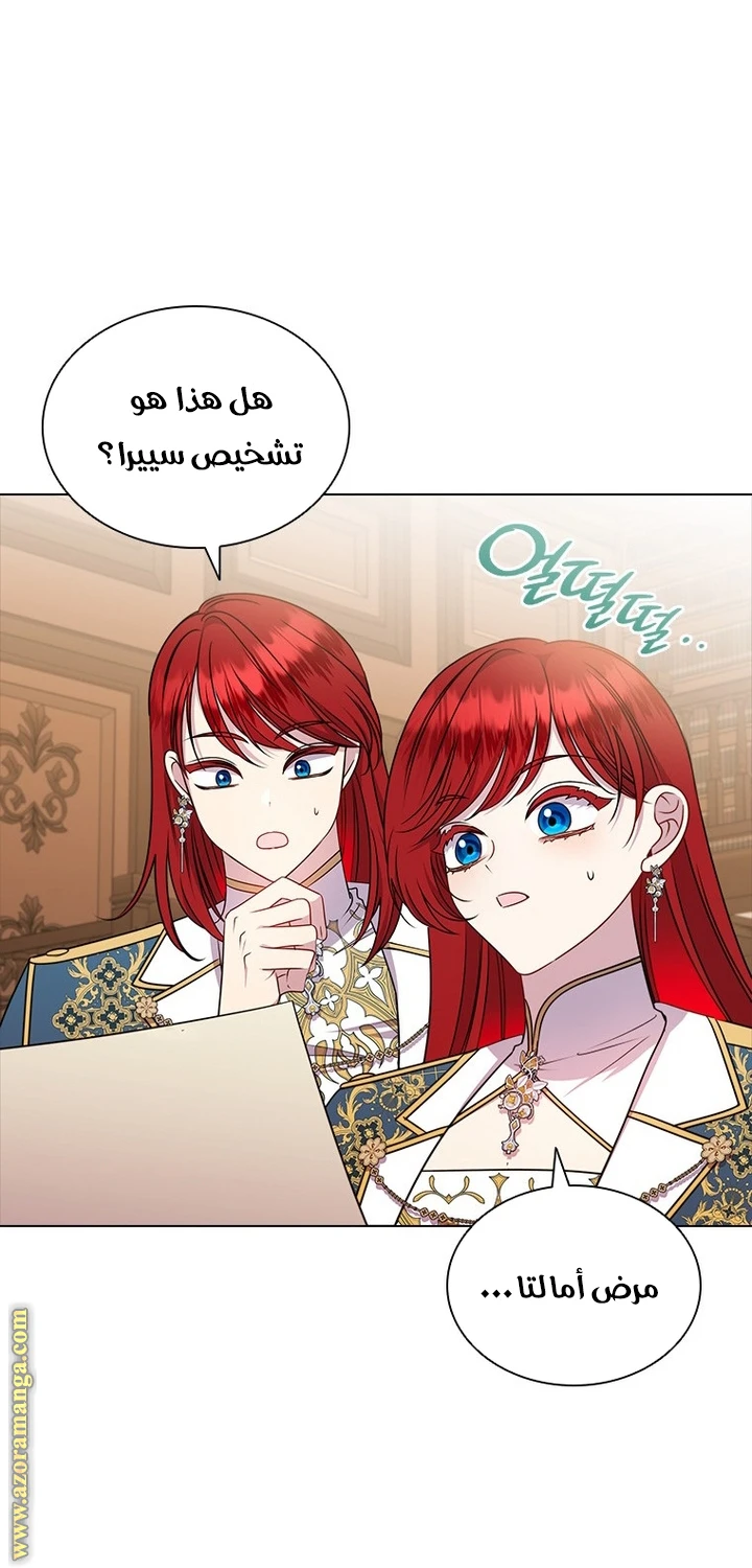 الصفحة 29