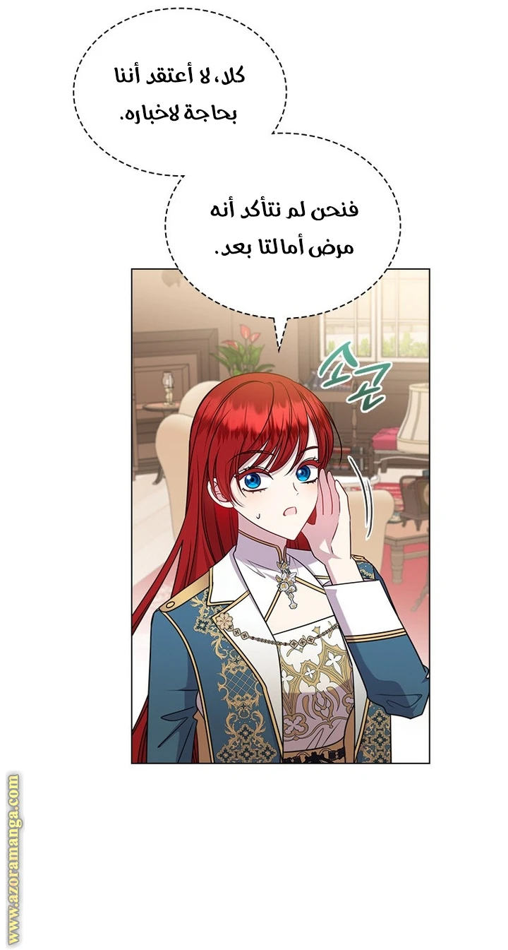 الصفحة 41