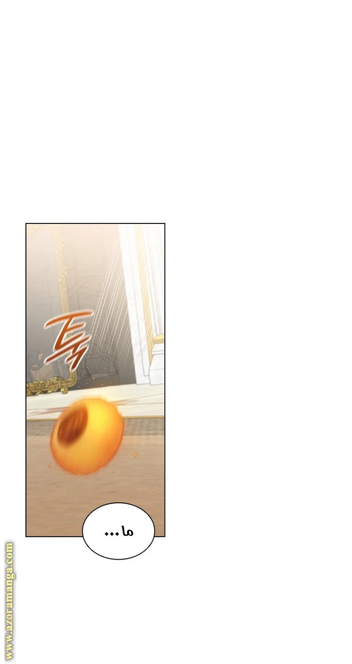 الصفحة 45