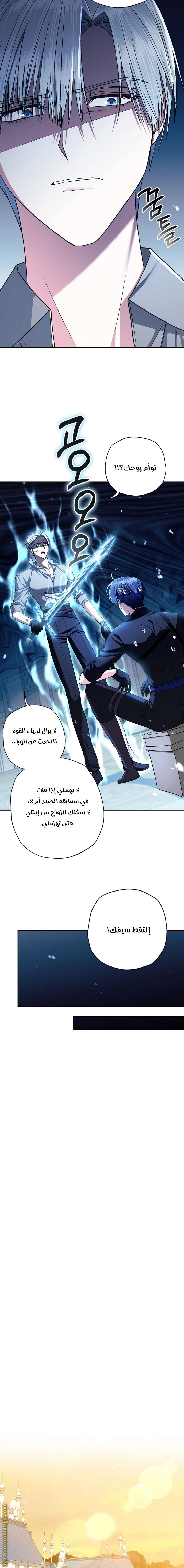 الصفحة 14