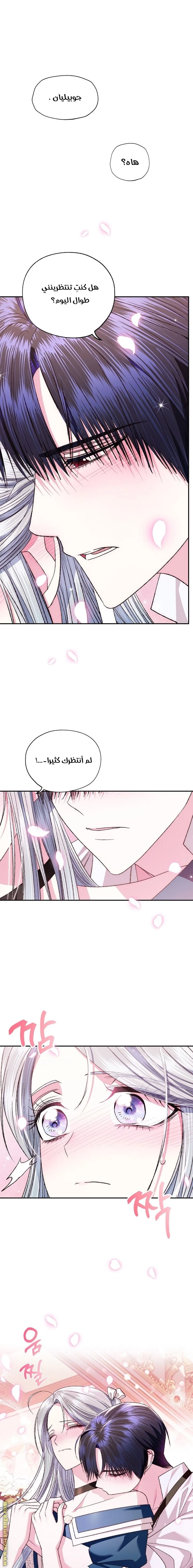 الصفحة 19