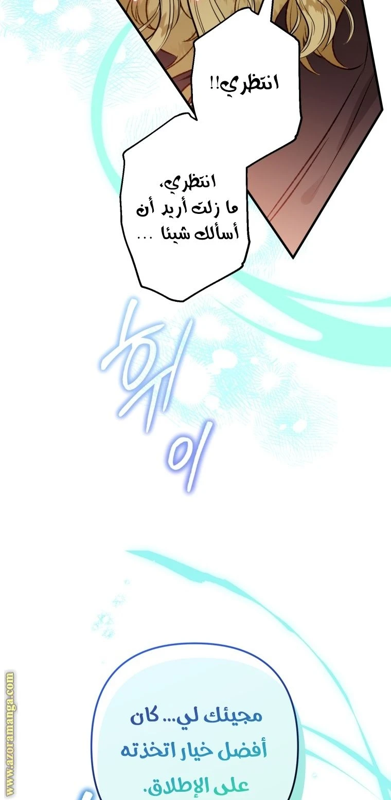 الصفحة 42