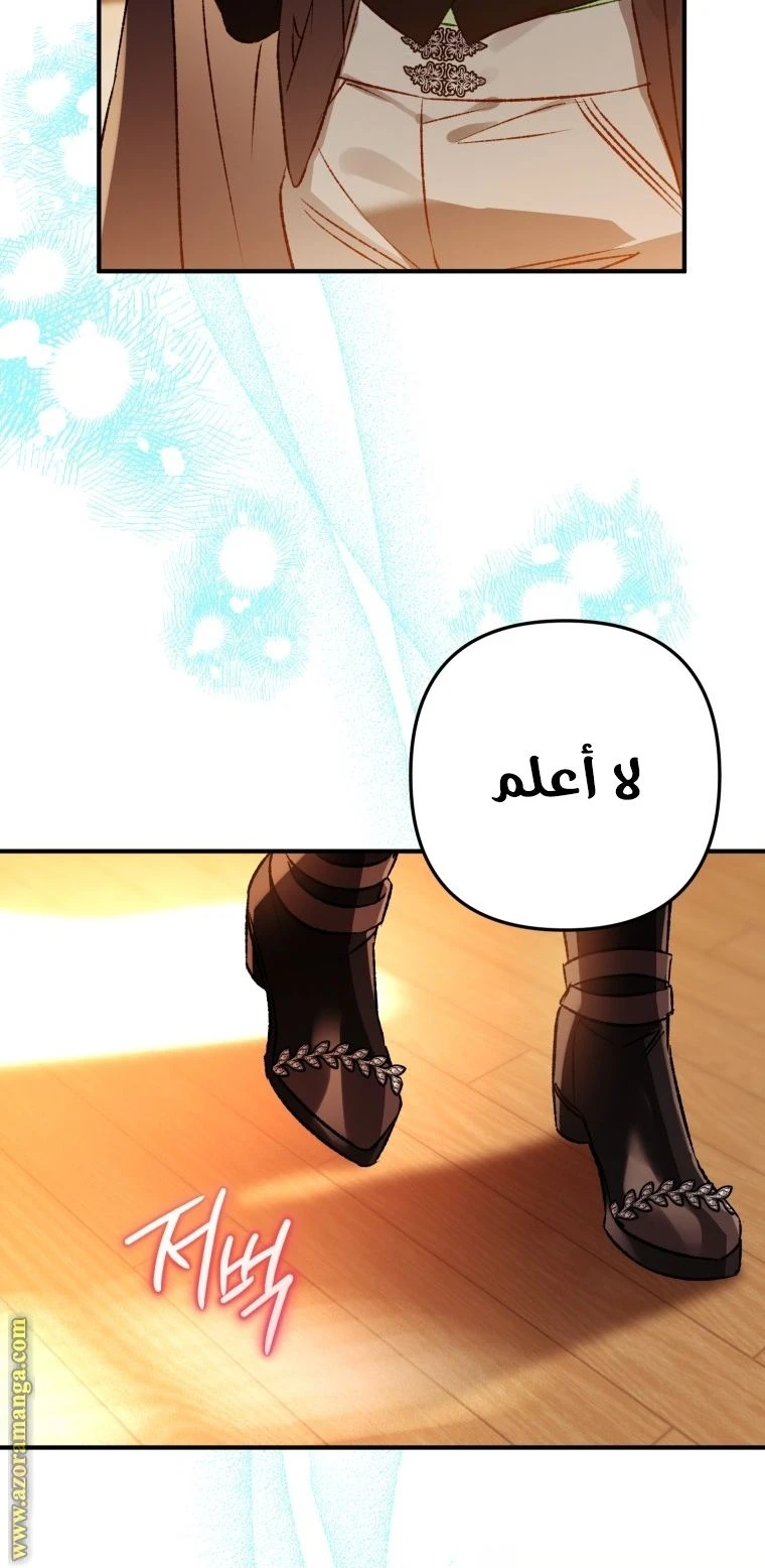الصفحة 47