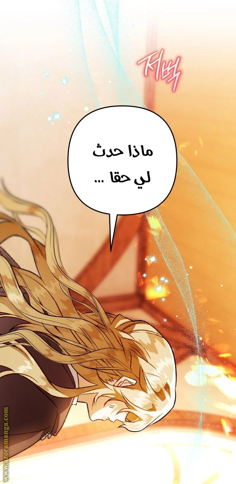 الصفحة 48