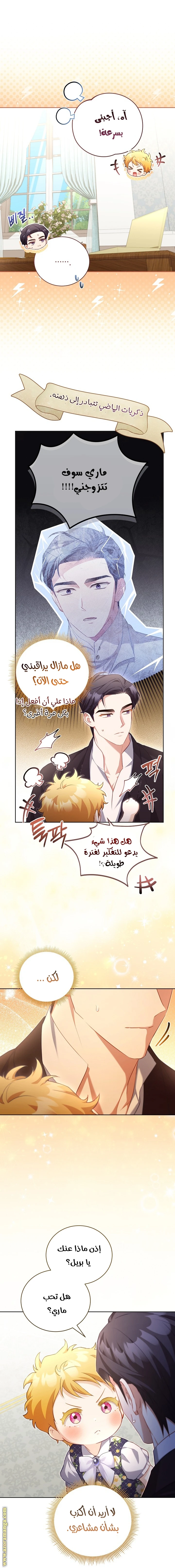 الصفحة 25