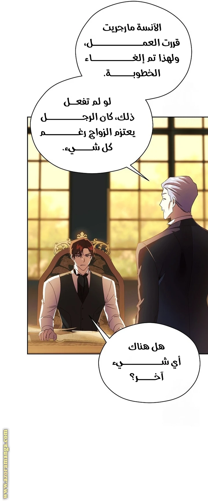 الصفحة 27