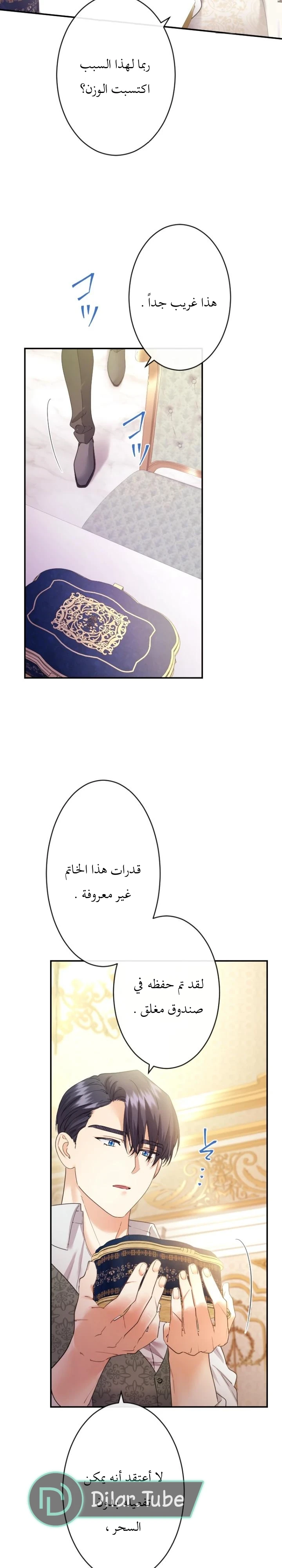 الصفحة 17