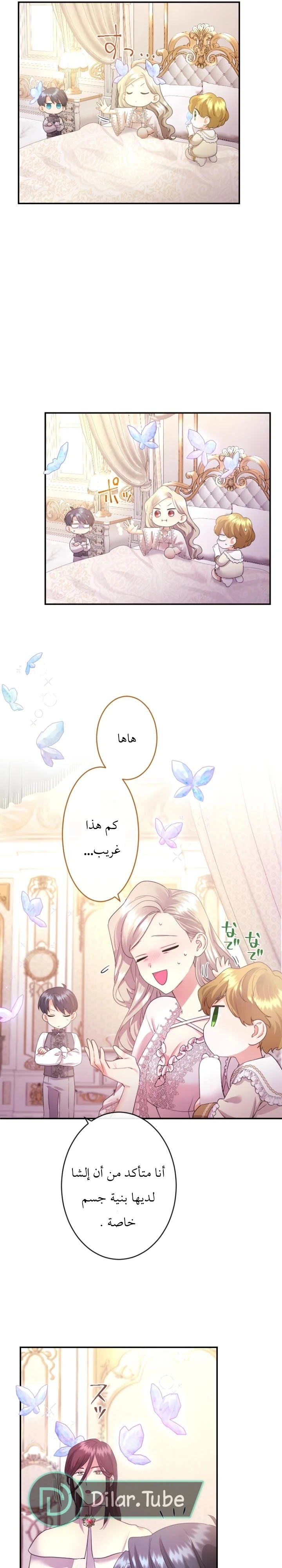 الصفحة 25