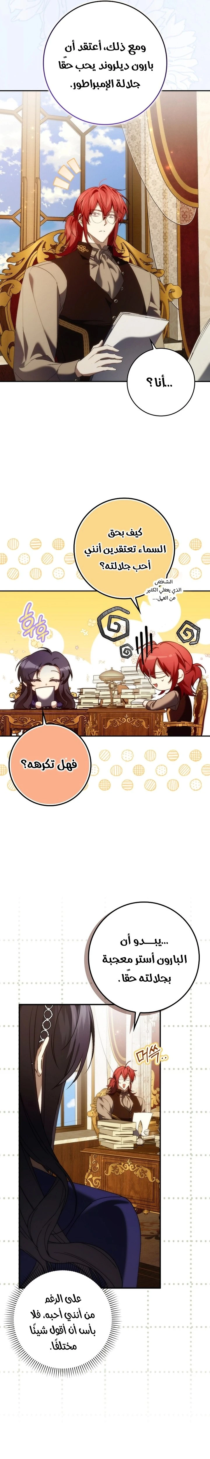 الصفحة 17