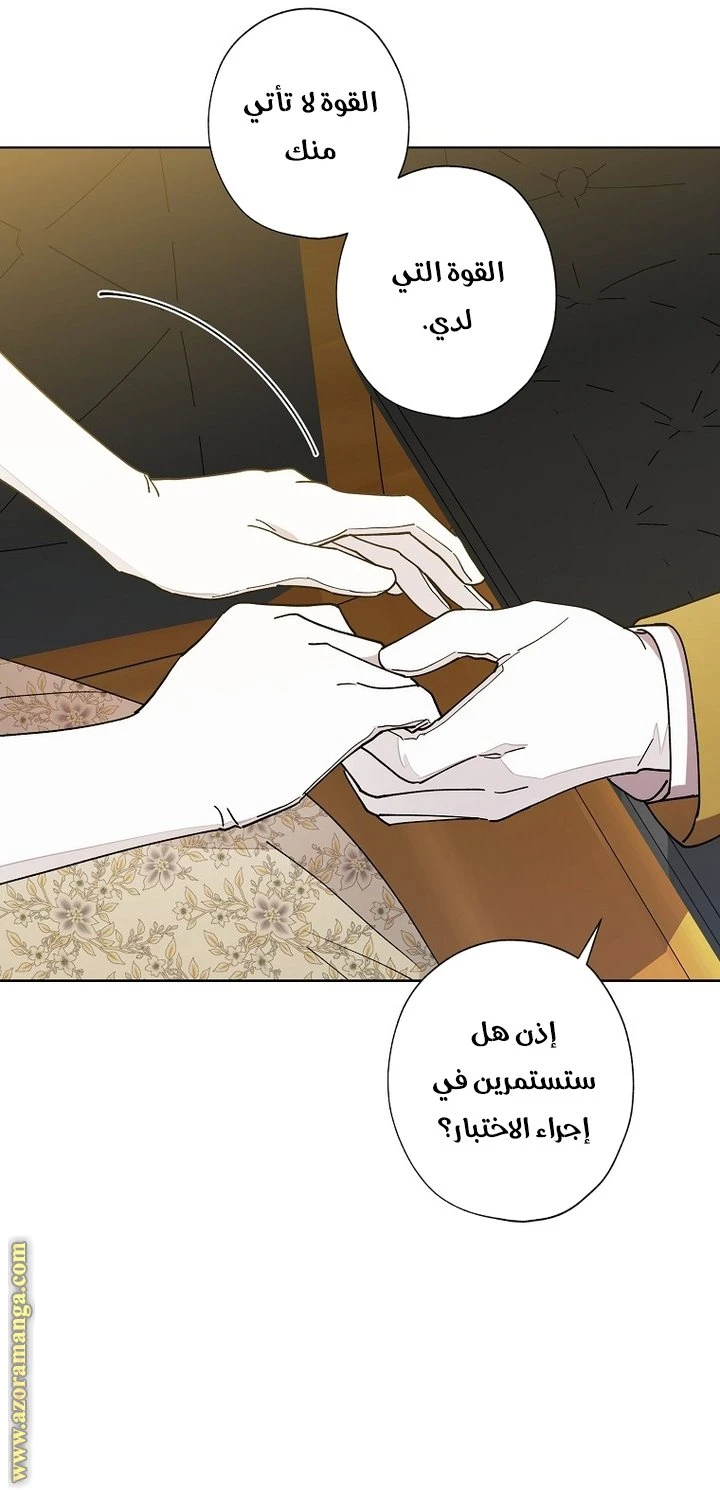 الصفحة 20