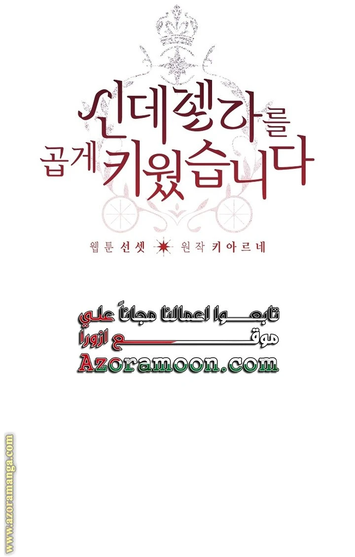 الصفحة 31