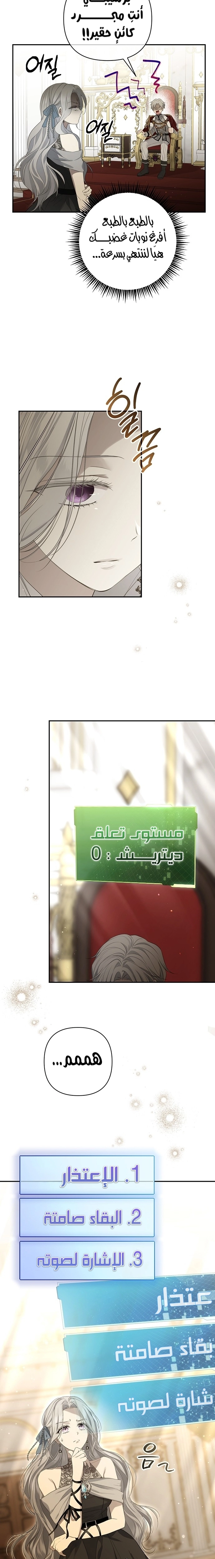 الصفحة 19