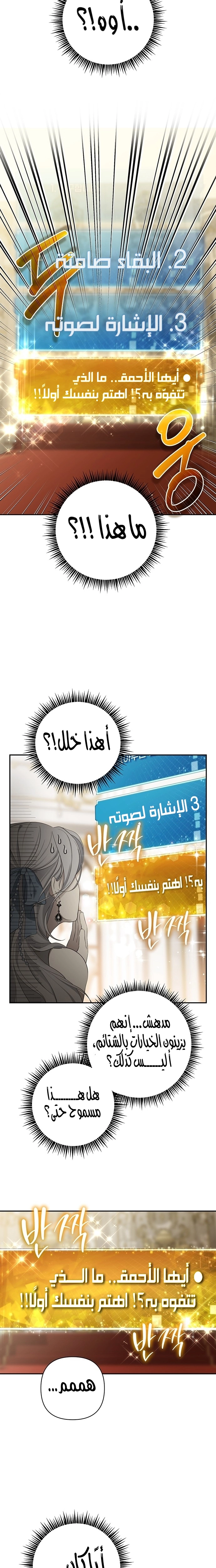 الصفحة 21