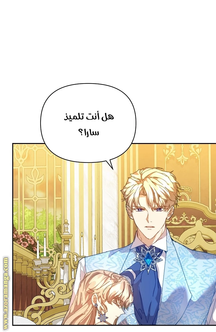 الصفحة 26