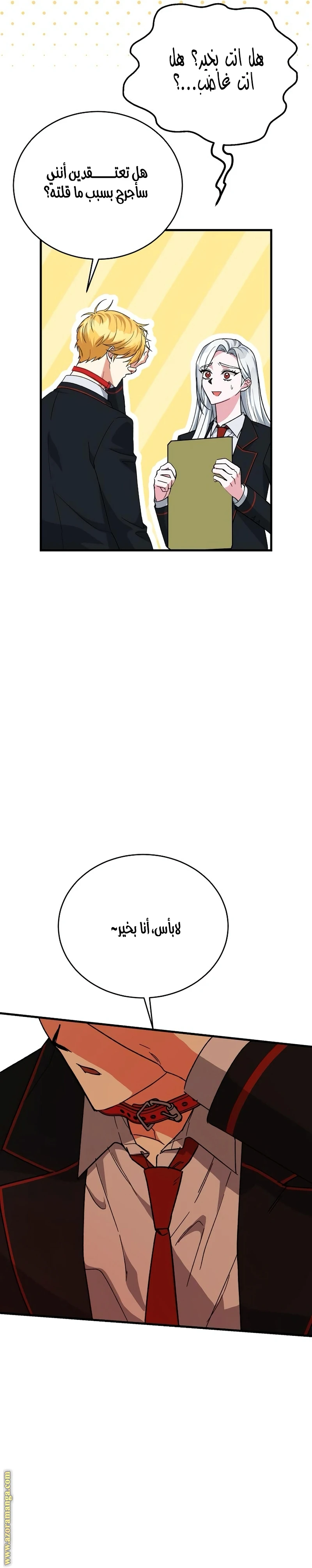 الصفحة 17