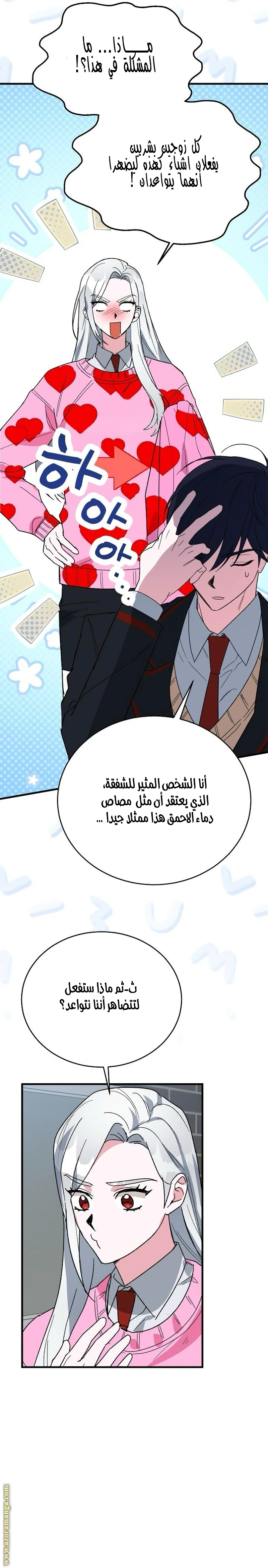 الصفحة 20