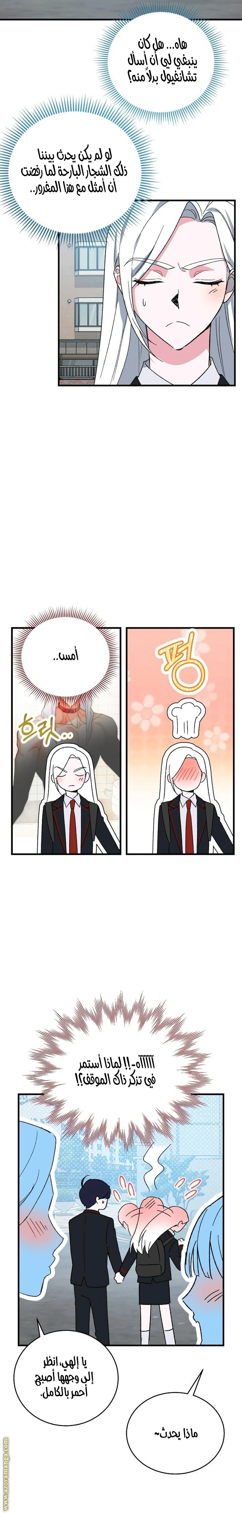 الصفحة 25