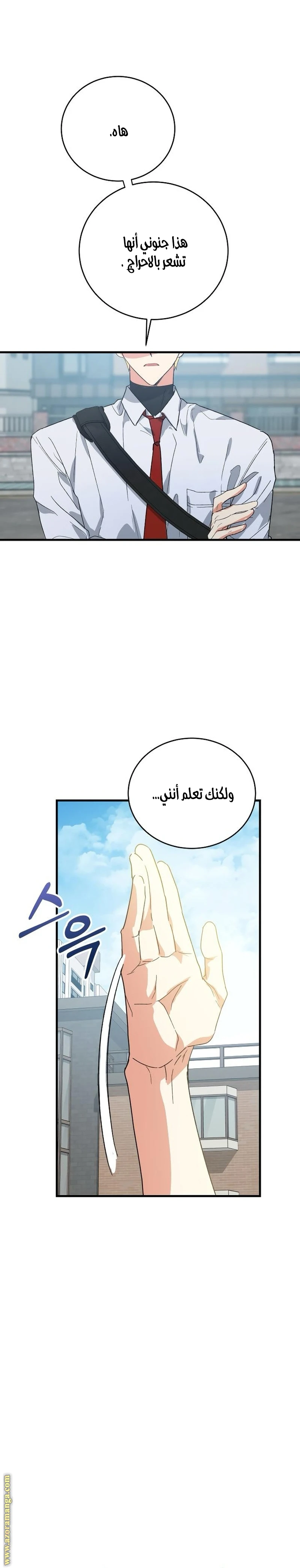 الصفحة 26