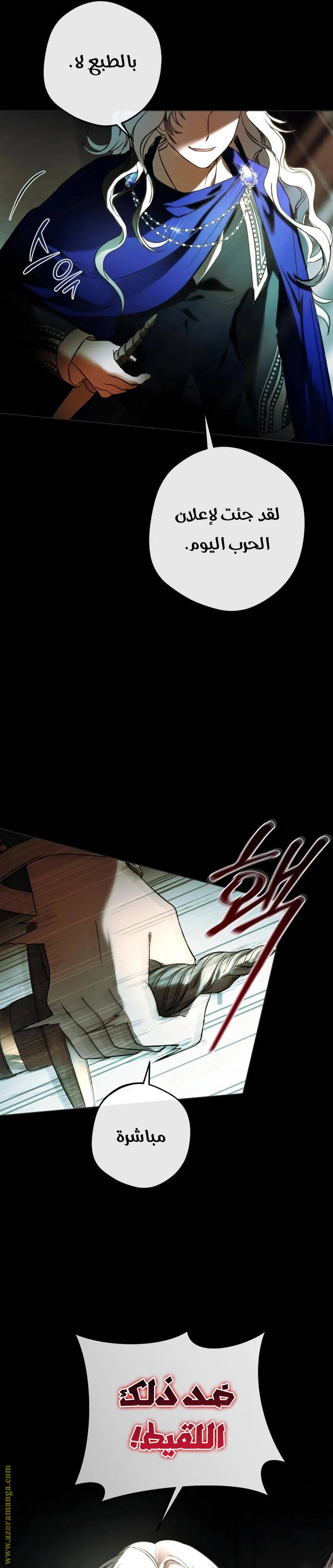الصفحة 17