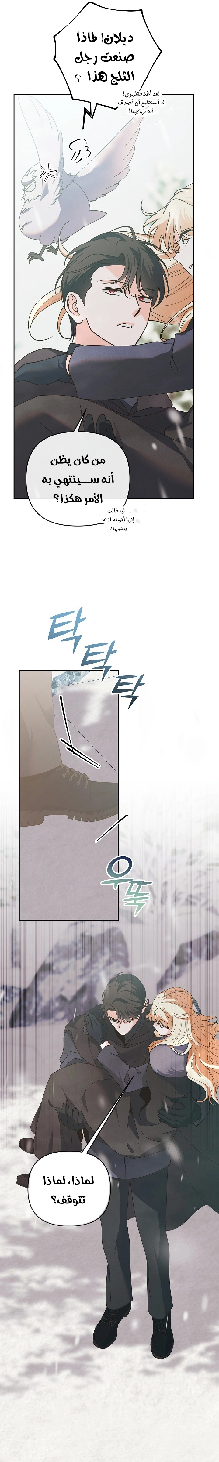 الصفحة 5