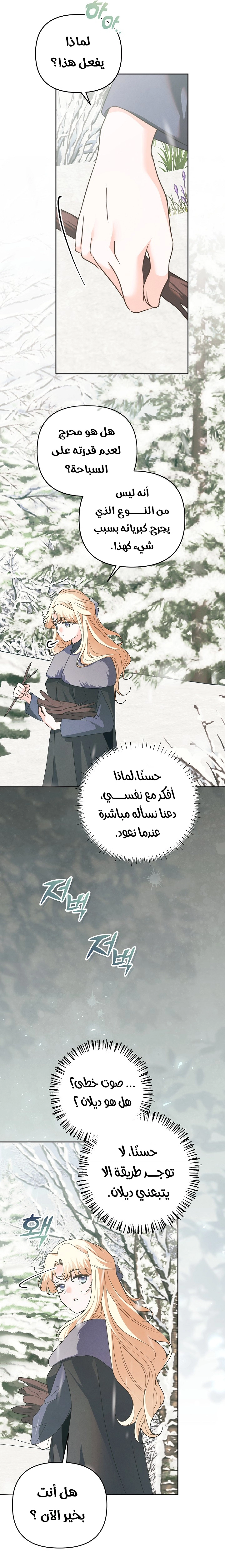 الصفحة 24