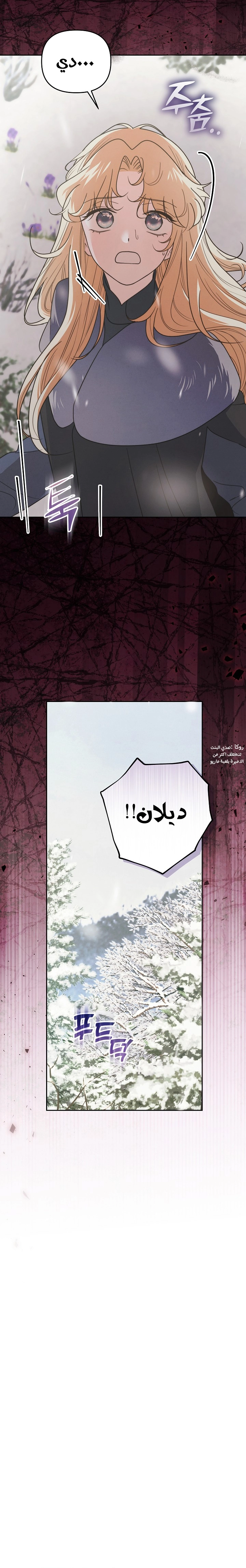 الصفحة 26
