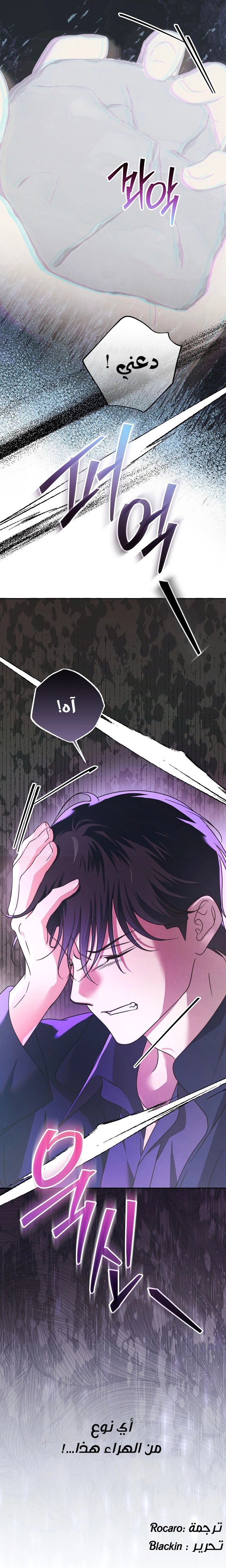 الصفحة 29