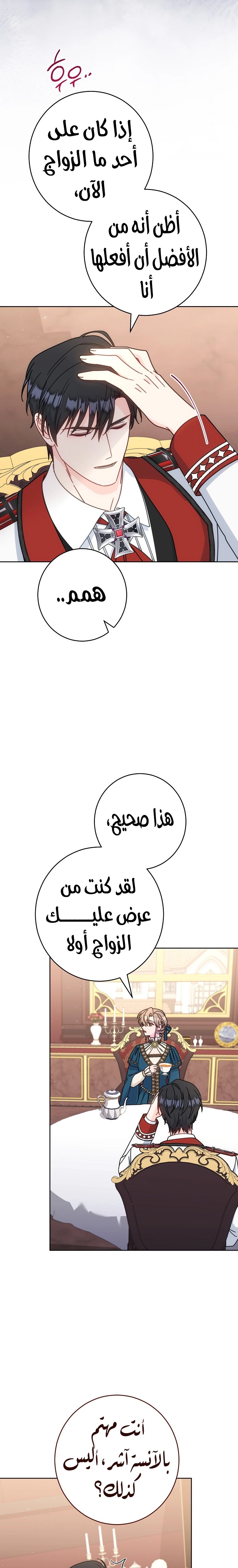 الصفحة 12