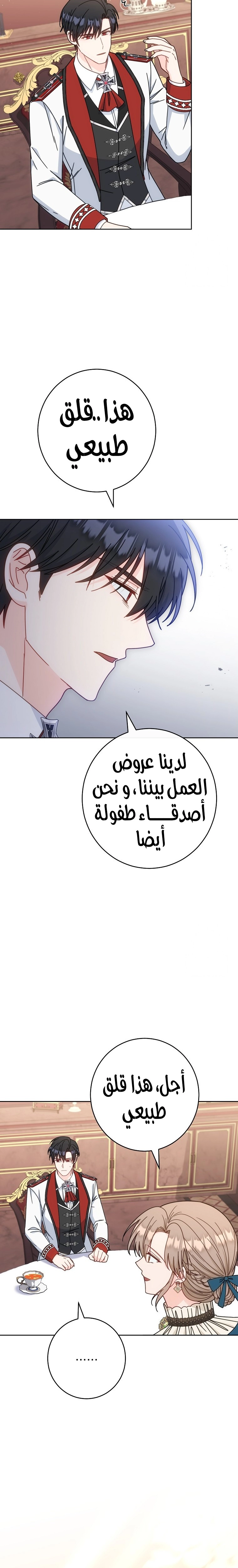 الصفحة 13