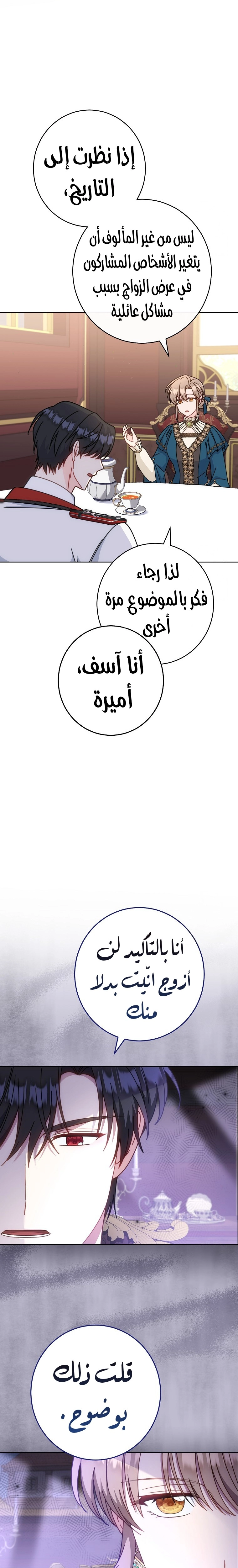 الصفحة 15