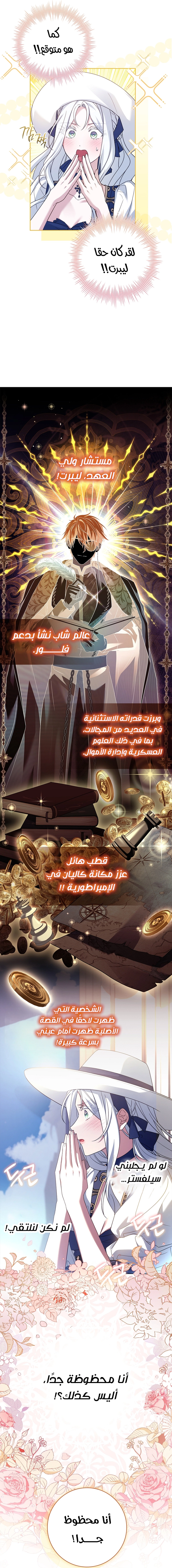 الصفحة 20