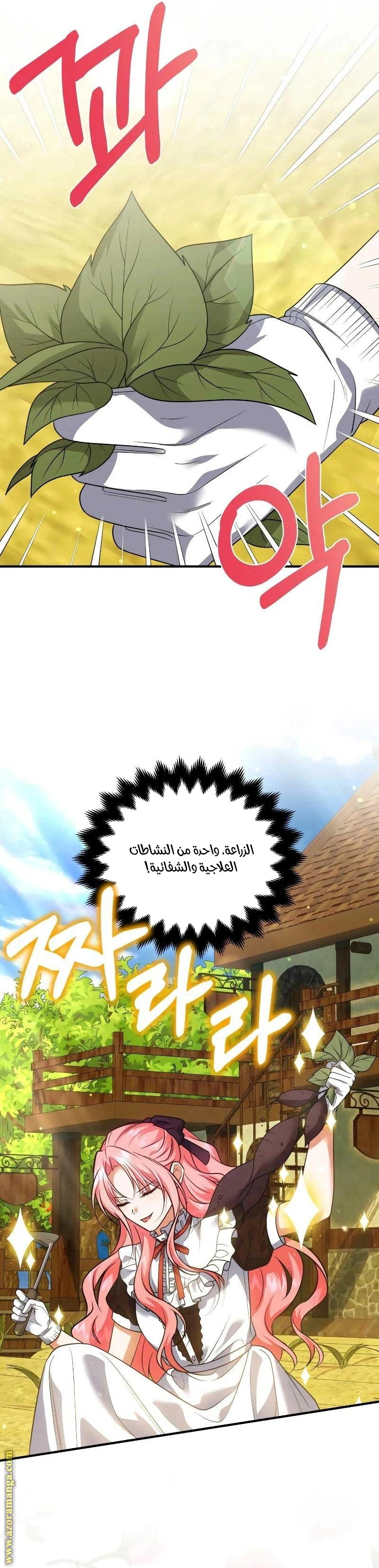 الصفحة 3
