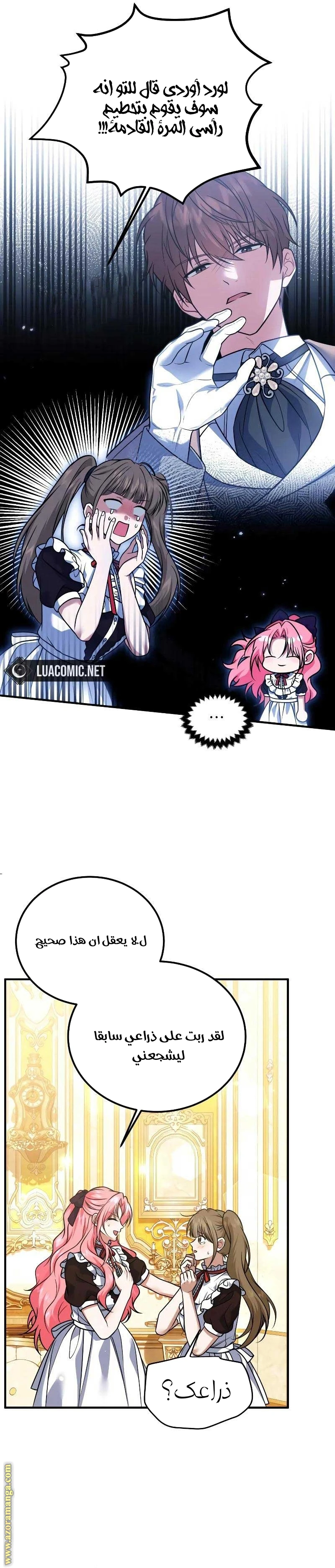 الصفحة 21