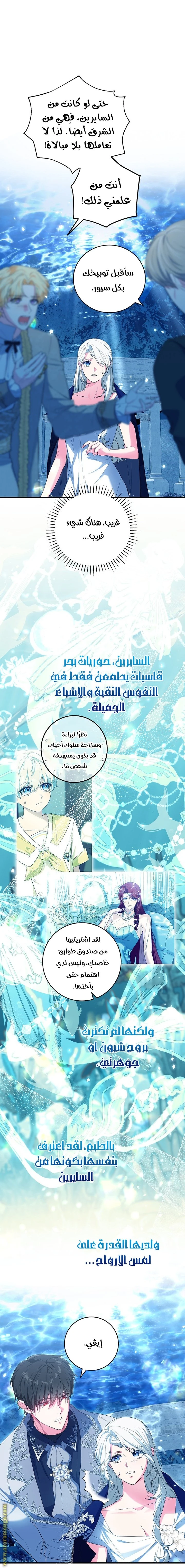 الصفحة 25