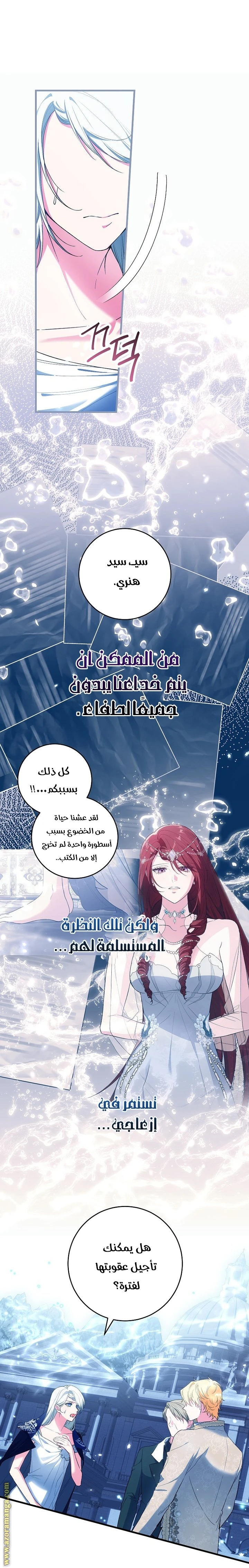الصفحة 27