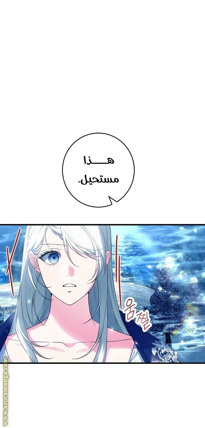 الصفحة 28