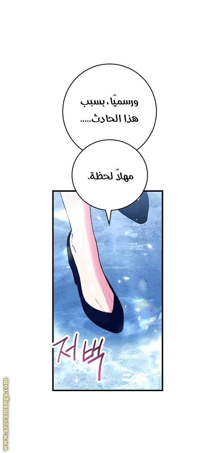 الصفحة 30