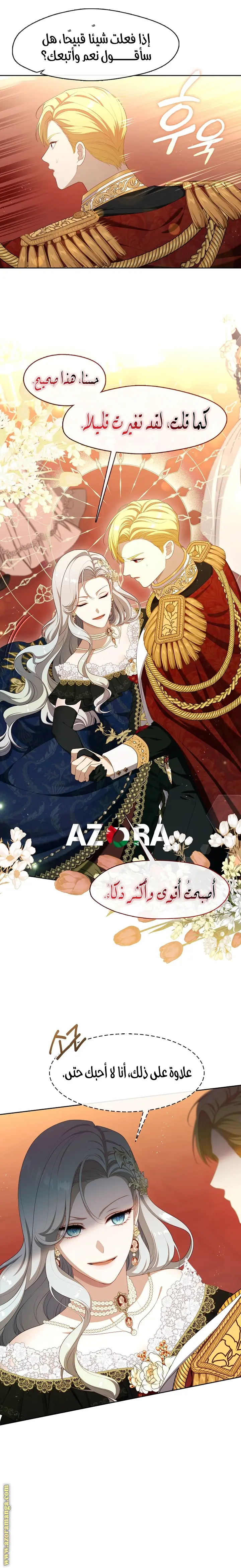 الصفحة 17