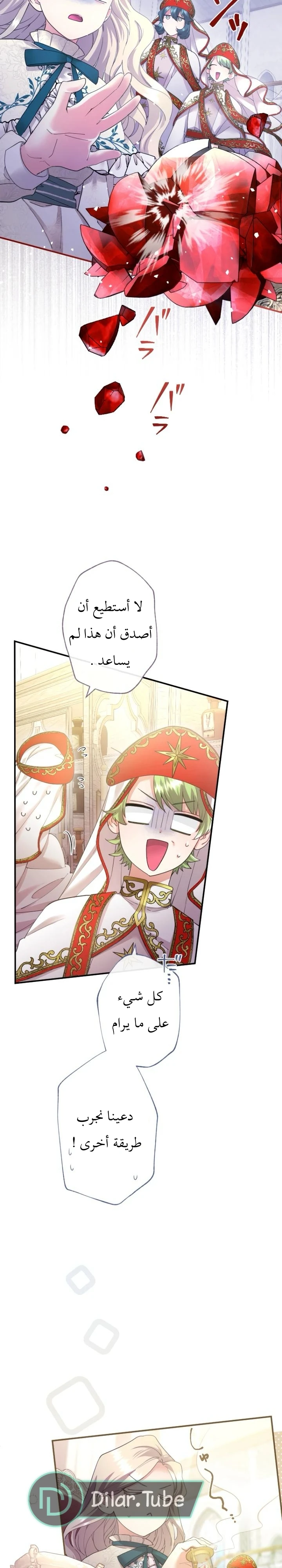 الصفحة 15