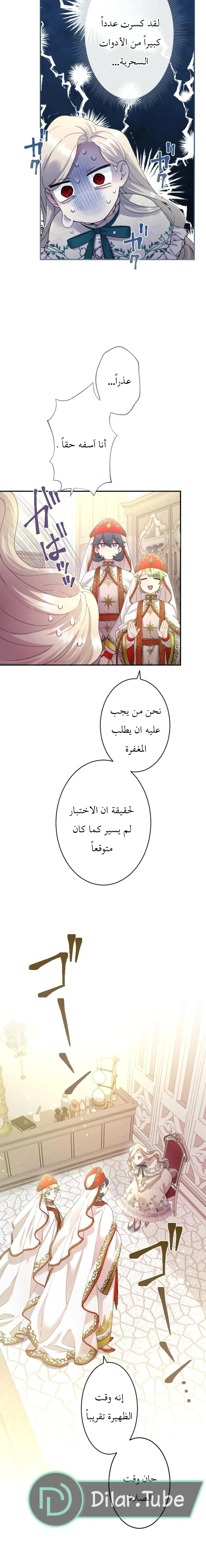 الصفحة 17