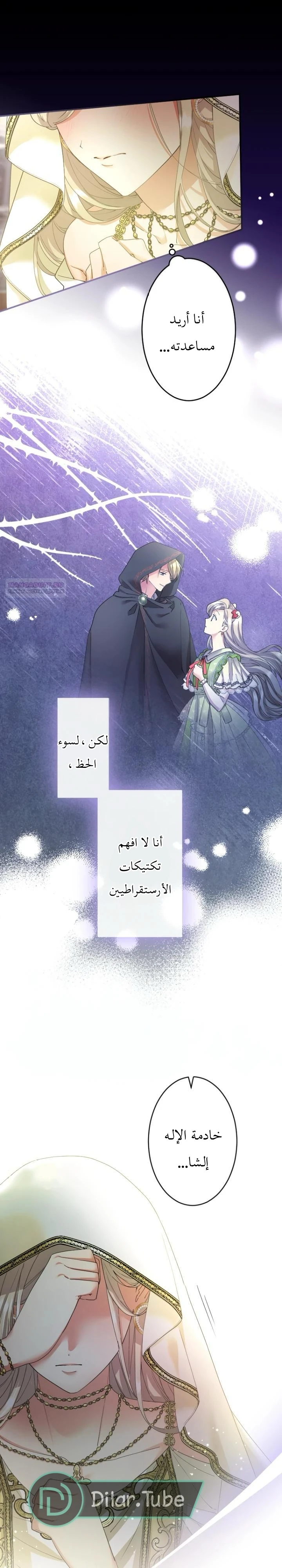 الصفحة 24