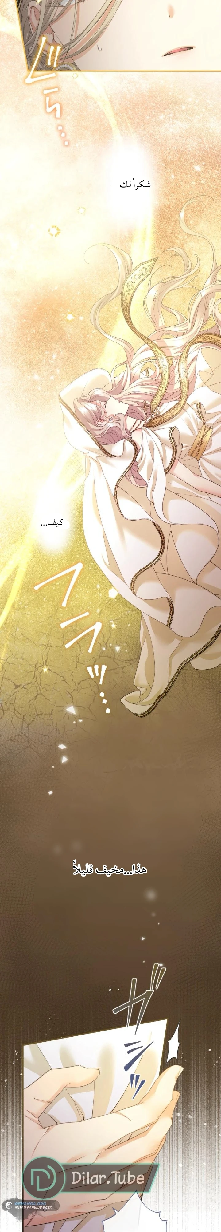 الصفحة 29