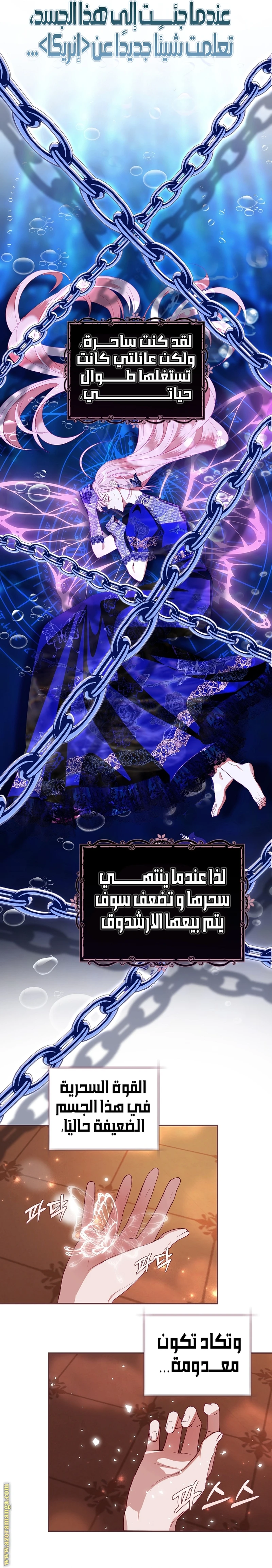 الصفحة 19