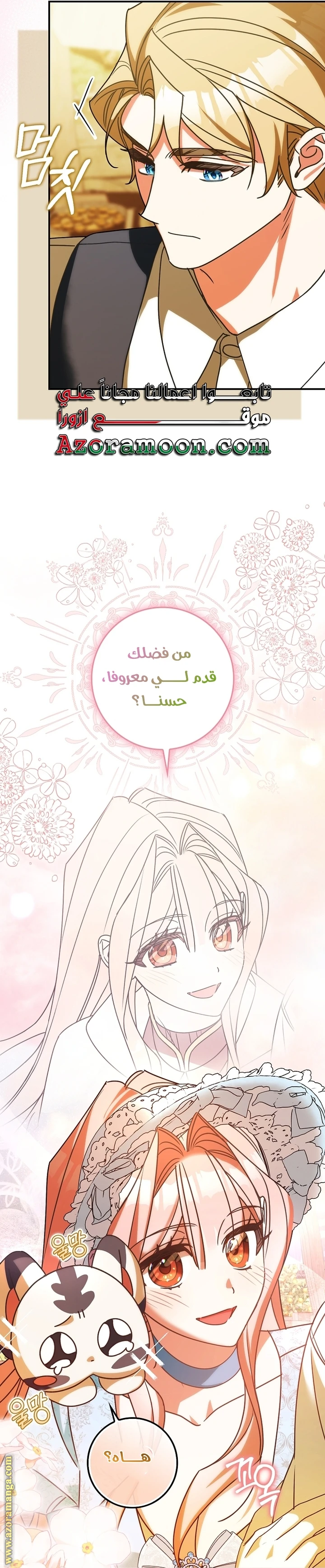 الصفحة 17